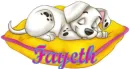 fayeth