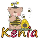 Bee Bear- Kenia
