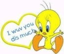 Tweetie Bird - Cute