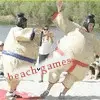 Beach games