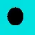 dots everywhere 