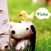 hello :)