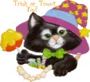Trick or Treat Kitten