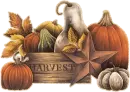 Harvest Time