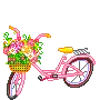 PINK BICYCLE