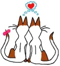 Cats boyfriends