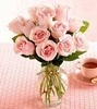 pale pink roses bouquet