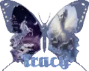 glitter unicorn butterfly