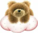 teddy bear deborah