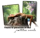 PLEASURE IN PATHLESS WOODS