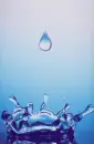 gota de chuva