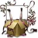 C-MAS GIFT