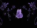purple butterfly