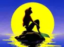 ariel
