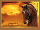 horse