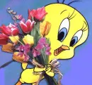 TWEETY