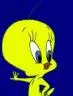 TWEETY