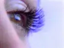 eyelashes