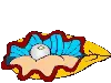 kookie clam