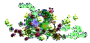 water flowers