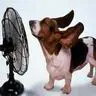 Ahh... so hot outside!