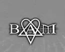 bam logo