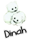 Bears Dinah