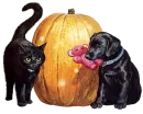 happy halloween