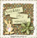 celebrate life