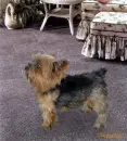 jump