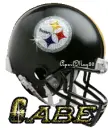 pittsburgh steelers helmet gabe