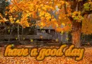 AUTUMN