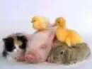 Naptime