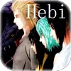 Hebi