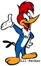 Woody Woodpecker is a lil'pecker
