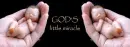 God little miracle