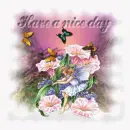 Have a Nice Day