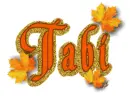 Tabi...maple leaves