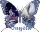 glitter unicorn butterfly fayeth