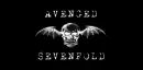 Avenged Sevenfold! <3