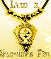 Steelers