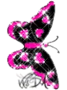 Pink and black butterfly