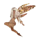 GLITTER