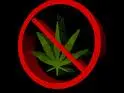 No Pot