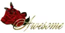 awesome with rose