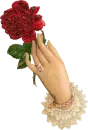 rose