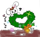 For you rabbit