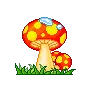 mushrooms