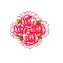 pink roses