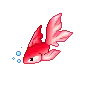 goldfish